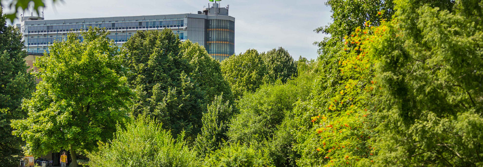 TU Dortmund im Sommer_01 Das Mathematikgebäude mit grünen Bäumen im Vordergrund.