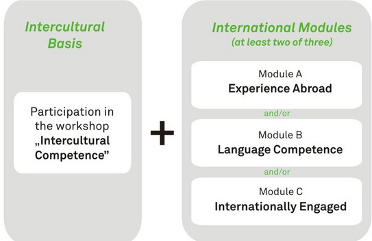 Diagram Certificate SI a graphic description of the certificate