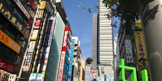 Traveling_TU_Japan Godzilla TU Logo auf einer Straße in Japan