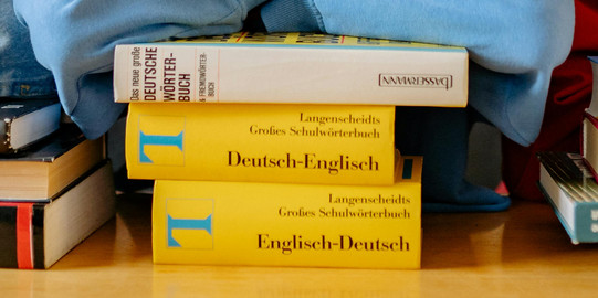 Young woman leaning her head on a stack of Langenscheidt dictionaries, looking into the camera, shelves full of books in the background.