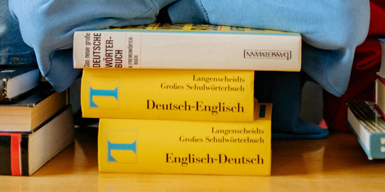 Young woman leaning her head on a stack of Langenscheidt dictionaries, looking into the camera, shelves full of books in the background.