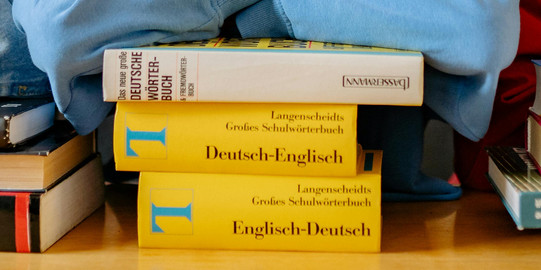 Young woman leaning her head on a stack of Langenscheidt dictionaries, looking into the camera, shelves full of books in the background.