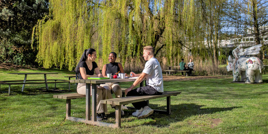 Studierende Drei Studierende sitzen an einem Sommertag an einer Sitzbank mit Tisch auf einer Wiese und unterhalten sich gut gelaunt.