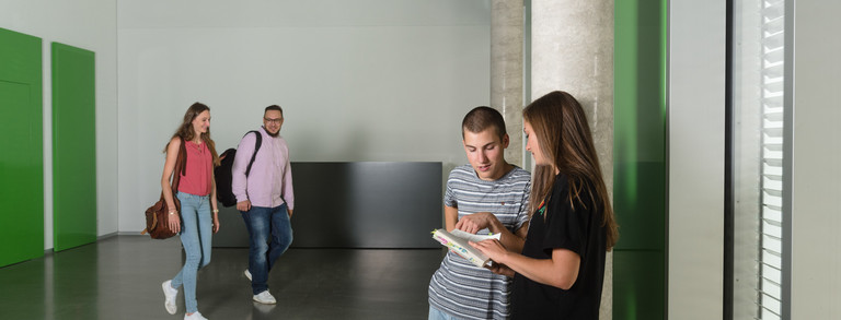 Studierende im Gespräch Zwei Studierende unterhalten sich, zwei andere kommen auf sie zu.