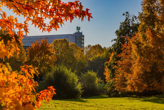 Mathe Tower Herbst_02 Das Gebäude der mathematischen Fakultät mit Bäumen in herbstlichen Farben.